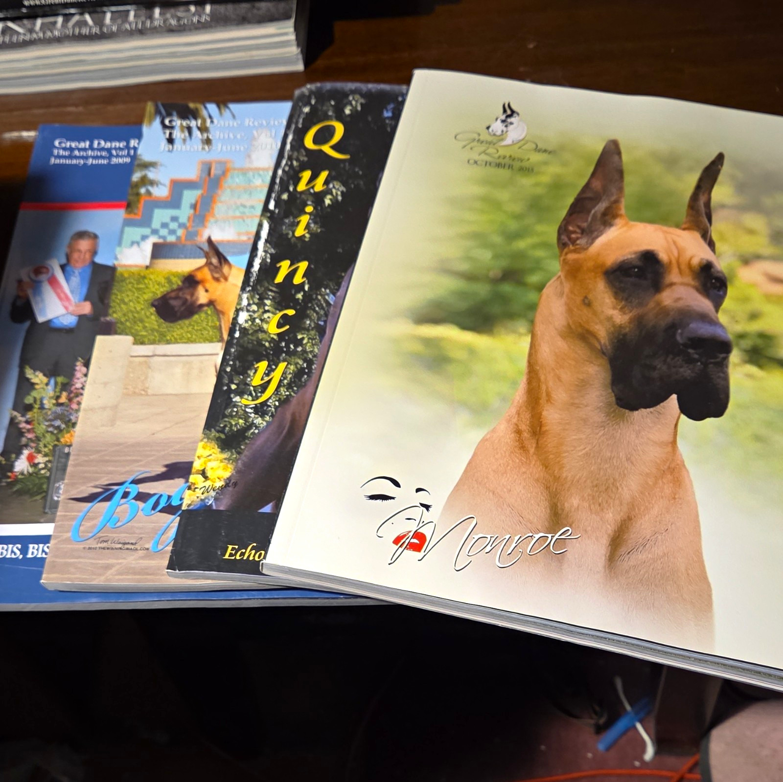 Great Dane Review The Archive Book Lot Vol 1-2 2009-2010 Issues