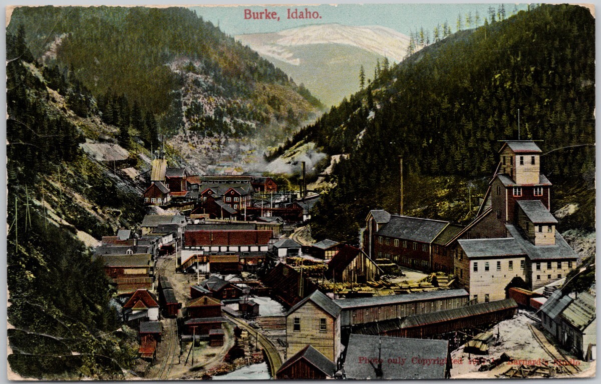 Burke Idaho ID Barnard's Studio 1910 Black Bear ID Cancel Postcard D96 *as is Burke Idaho ID Barnard's Studio 1910 Black Bear ID Cancel Postcard D96 *as is