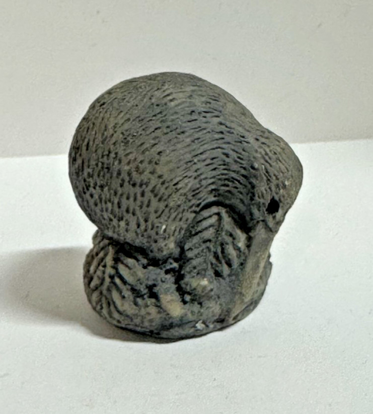 Vintage New Zealand Kiwi Bird Sculpture Black Souvenir Figurine Native NZ Art