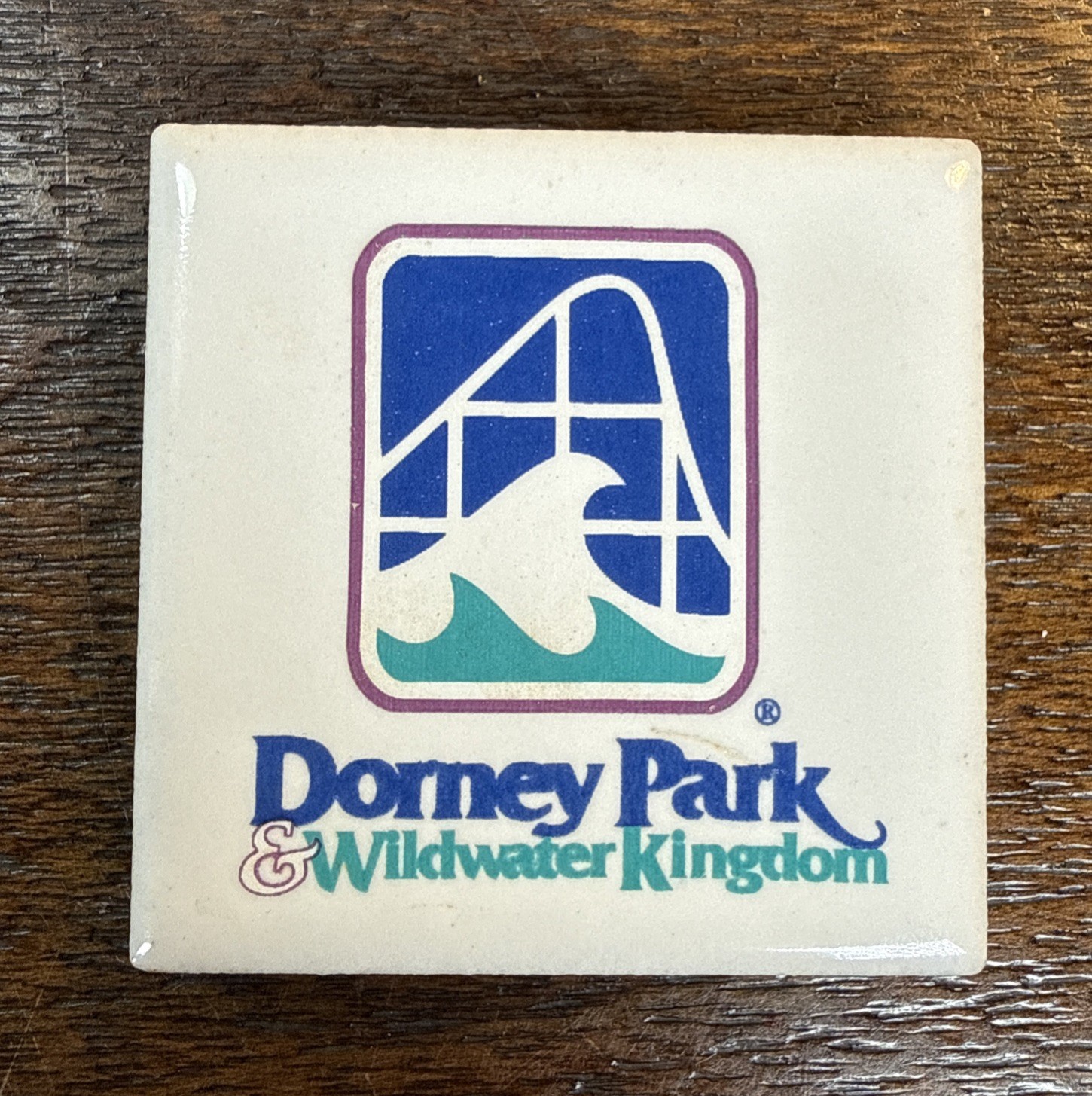 Vintage Dorney Park & Wildwater Kingdom Square Refrigerator Magnet 2” Amusement Vintage Dorney Park & Wildwater Kingdom Square Refrigerator Magnet 2” Amusement