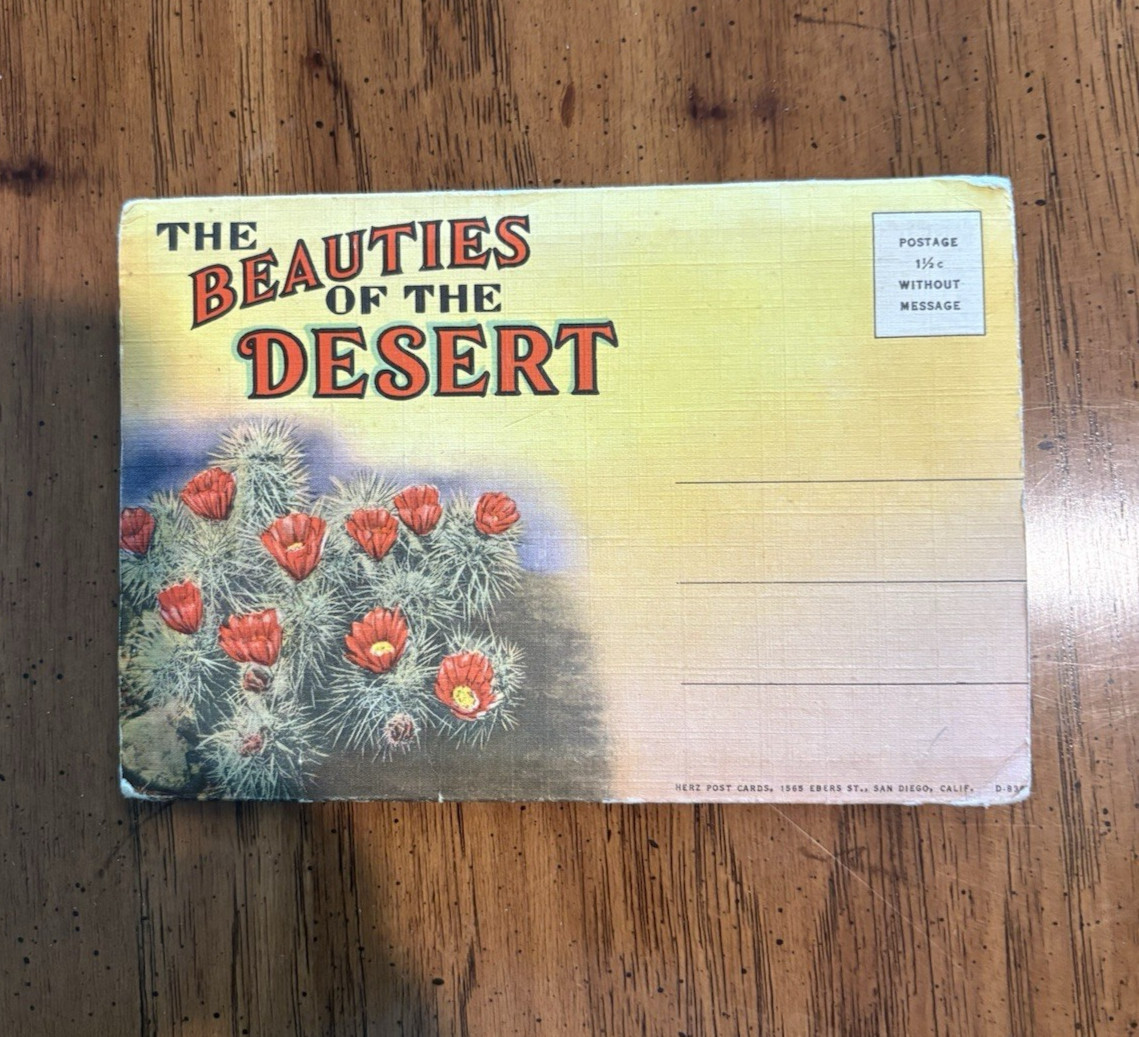 VINTAGE-POSTCARD FOLDER-THE BEAUTIES OF THE DESERT VINTAGE-POSTCARD FOLDER-THE BEAUTIES OF THE DESERT