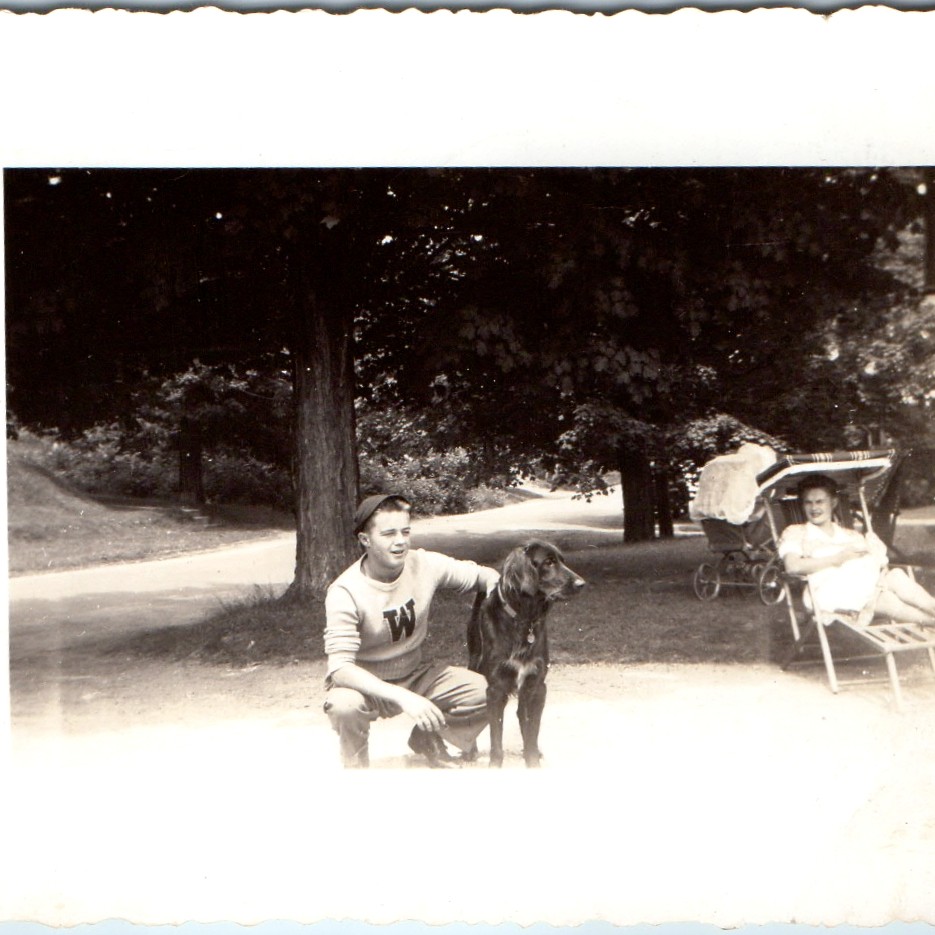 c1940s Boy Letterman W Sweatshirt Flat Coated Retriever Dog Carriage Photo 4