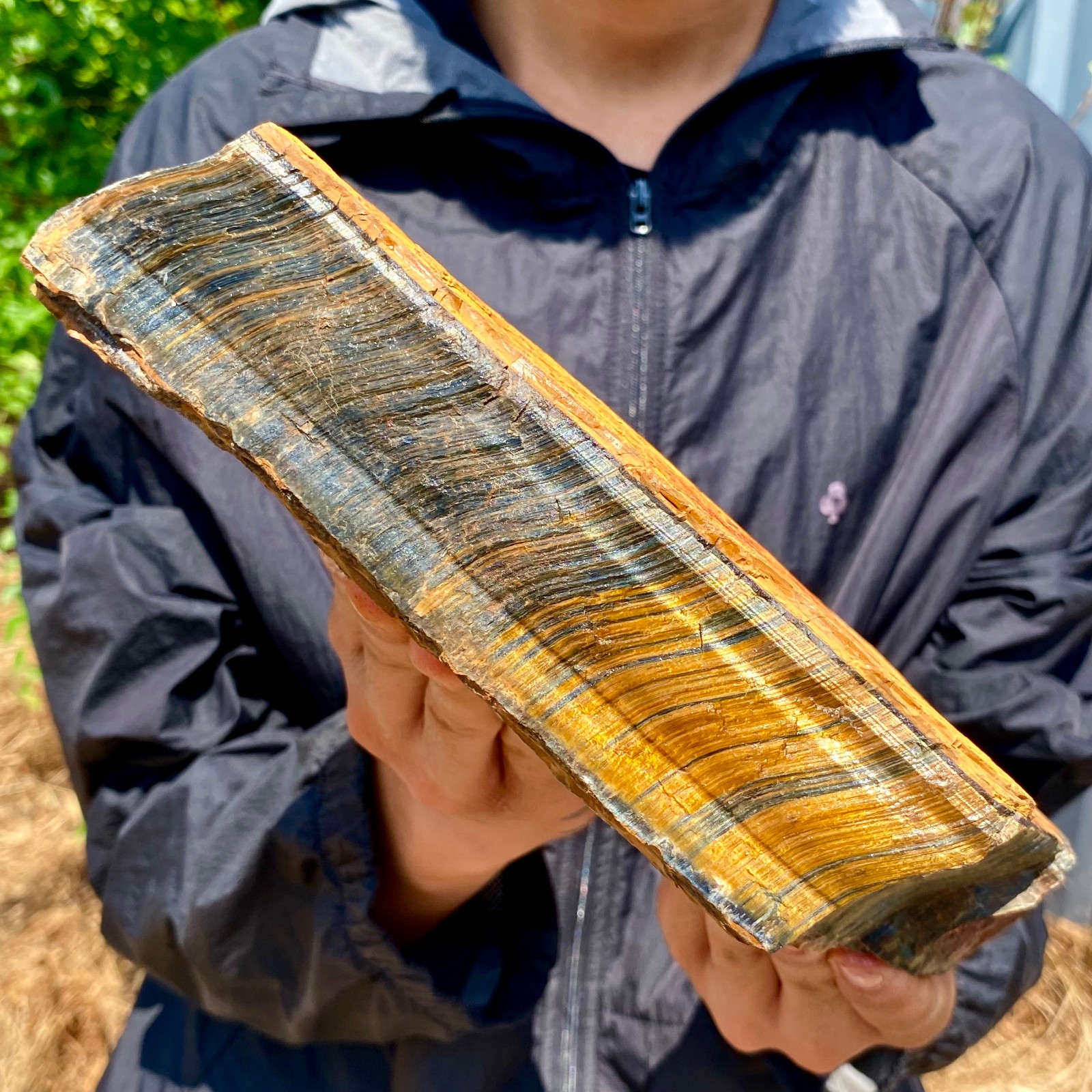 6.68LB Natural tiger's Eye rough raw stone rock specimrn madagescar