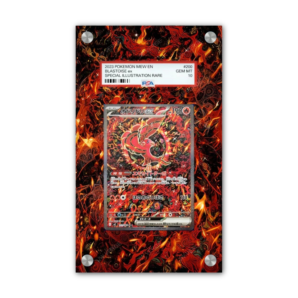 Oricorio EX 024 - PSA Pokémon Extended Artwork Display Case