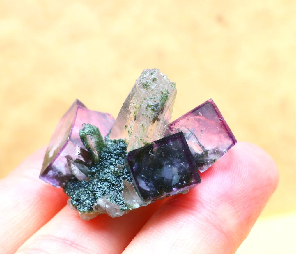 17.8g Natural purple phantom Cubic fluorite Crystal mineral specimen/yaogangxian