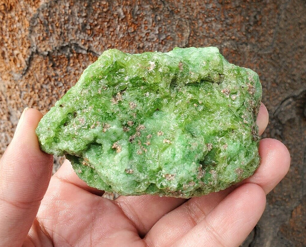 198G New Discovery Sumatra Extreme Rare  Green Epidote Crystal Rough Mineral