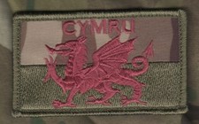 KANDAHAR WHACKER© NATO ISAF UK COALITION CAMP BASTION JTF FLAG: Wales UK (Cymru) picture