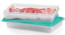 Tupperware SNACK-STOR JR. 11 X 6 BACON KEEPER GET 2 CONTAINERS DELI MEAT NEW picture