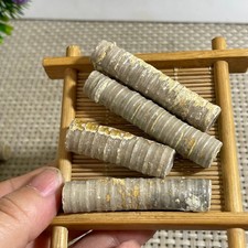 4pcs natural crinoid stems  crystal  Mineral samples  55g picture