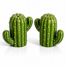 Cactus Salt Pepper Shaker Set Ceramic Hand Painted Novelty Kitchen Decor Gift picture