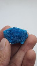 Big half rosette of Cavansite picture