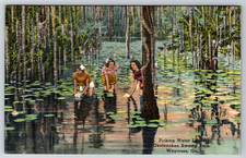 c1940s Okefenokee Swamp Park Waycross GA Water Lilies Linen picture