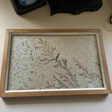 Framed natural manganese oxide dendrite embedded in sandstone slab picture