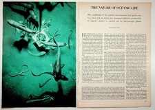 Vintage THE NATURE OF OCEANIC LIFE Marine Biology Article John D. Isaacs 1960s picture