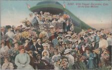 Postcard Wild Flower Excursion Colorado CO Railroad Train  picture
