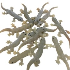 12PCS Realistic Gecko Lizard Rubber Cat Toy Interactive Life-like Reptile Figure picture