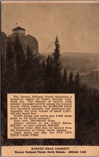 Harney Peak Lookout South Dakota 1930 Postmark US Forest Service Postcard picture