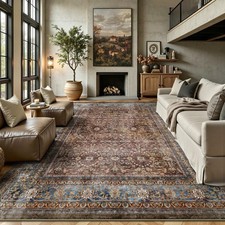 8x10 Area Rugs for Living Room - Washable Vintage Retro Large Rug, Soft Ultra... picture