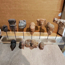 Collection of Ice Age Fossils & Ancient Pre-Columbian Pottery Artifacts on Cust picture