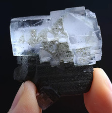 51g Natura Clear FLUORITE & Wolframite Mineral Specimen/Yaogangxian China picture