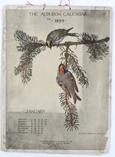 1899 Audubon Bird Calendar Massachusetts Society 12 Months Color Illustrated picture