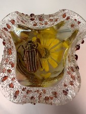June Bug Ten-Lined  Is Preserved In Resin In A Hand Blown Glass Bowl picture
