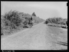 Photo:Belle Glade Florida 1939 Migrant Workers Near Cane Canals FSA picture