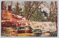 Yellowstone Angel Terrace Mammoth Hot Springs Divided Back Postcard H-H-T-Co picture