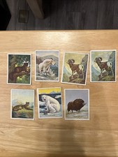 1912 ITC C71 Wild Animals of Canada Tobacco Cards Partial Set  7 In Total picture