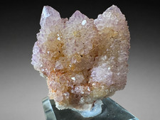 Cactus Amethyst Spirit Quartz Crystal Magaliesberg South Africa 103g picture