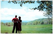 Postcard A Couple Enjoying Their Honeymoon in the Country picture