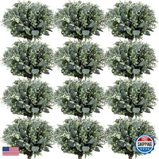 Janinka Mixed Eucalyptus Leaves Stems 60 Pcs White Seeds Silver Dollar for picture