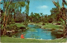 1960 Anaheim CA City Park Water Lily Pond Colourpicture Postcard Mailed picture