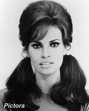 RAQUEL WELCH 8x10 Photo 1960s Hollywood Star Vintage Studio Glamour Portrait picture