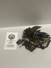 14 Small American Alligator Feet 1-2” Louisiana picture