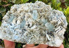 Natural Aquamarine combine Muscovite crystal specimen mineral picture