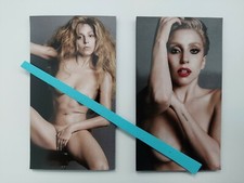 Lady Gaga Magnet Set  (2)  2 x 3.5 inches. picture