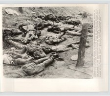 CHINESE CIVIL WAR Nationalist Soldiers Killed in NORTH HONAN 1947 Press Photo picture