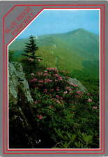Blue Ridge Parkway, Blue Ridge Mountains, Virginia, North Carolina, Postcard picture