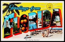 Greetings from Florida - Large Letter Vintage Postcard - The Land of Sunshine picture