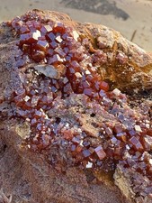 ☘️RR⛏️: Sparkly Flashy Vanadinite On Matrix Rock, Morocco, 9.8 Oz. picture
