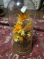 Vintage Butterfly Display Glass Dome Cloche with Floral Arrangement on Wood Base picture