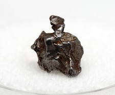 Campo del Cielo Iron Meteorite Specimen SHOOTING STAR w/ Display Case & ID card picture