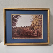 Vintage Autumn Landscape Photograph Matted Blue Border, Classic Gold Wood Frame picture