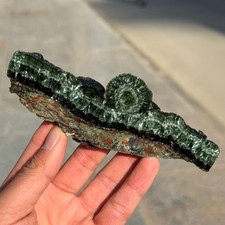 84g Rare Natural Seraphinite Slab Quartz Crystal Reiki Healing (Collection Lv.) picture