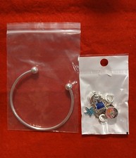 Carnival Cruise Charm Bracelet:  Ship, Dolphin, Anchor, Starfish, Beach Scene picture
