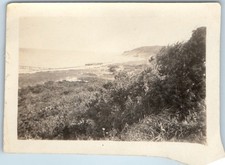 c1920s East Hampton, NY Coast Bluff Dunes Beach Snapshot Photo Long Island Ocean picture