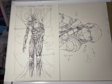 GHOST IN A SHELL Animation Cel LAYOUT Print Anime Art Movie Film Anime Movie r1 picture