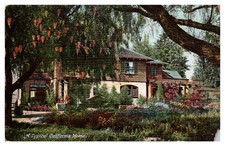 1907 Lovely Garden Home In Southern California Vintage Postcard picture