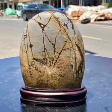 3.7LB Natural Chinese tree shaped limestone image stone national flower ornament picture